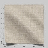 Gent 14 Fossil