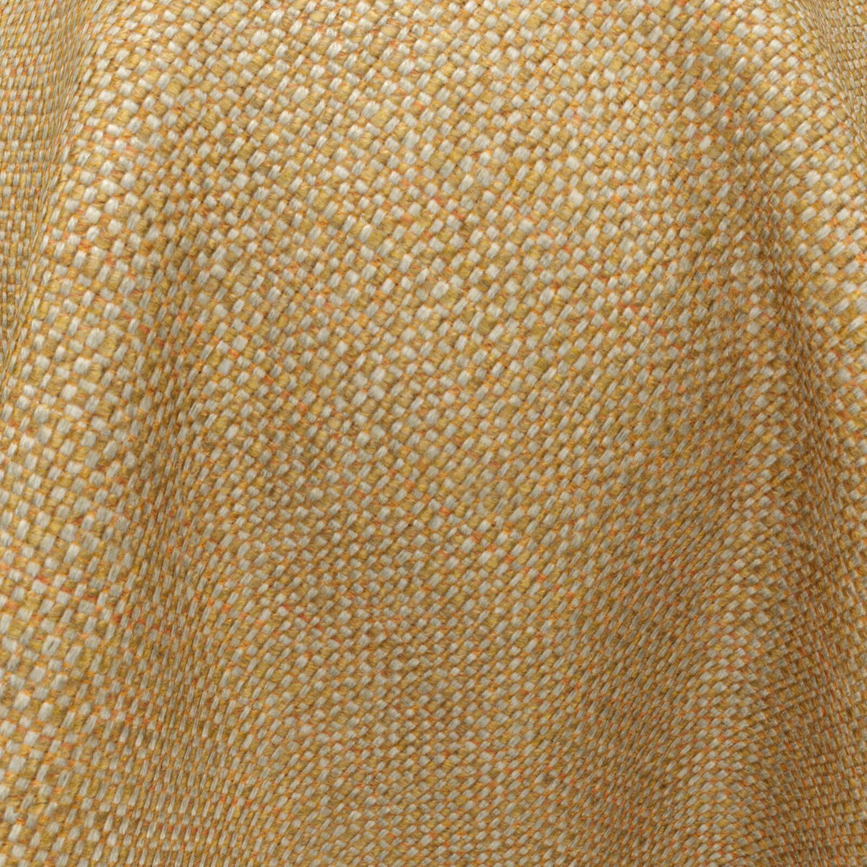 Gent 31 Mandarin