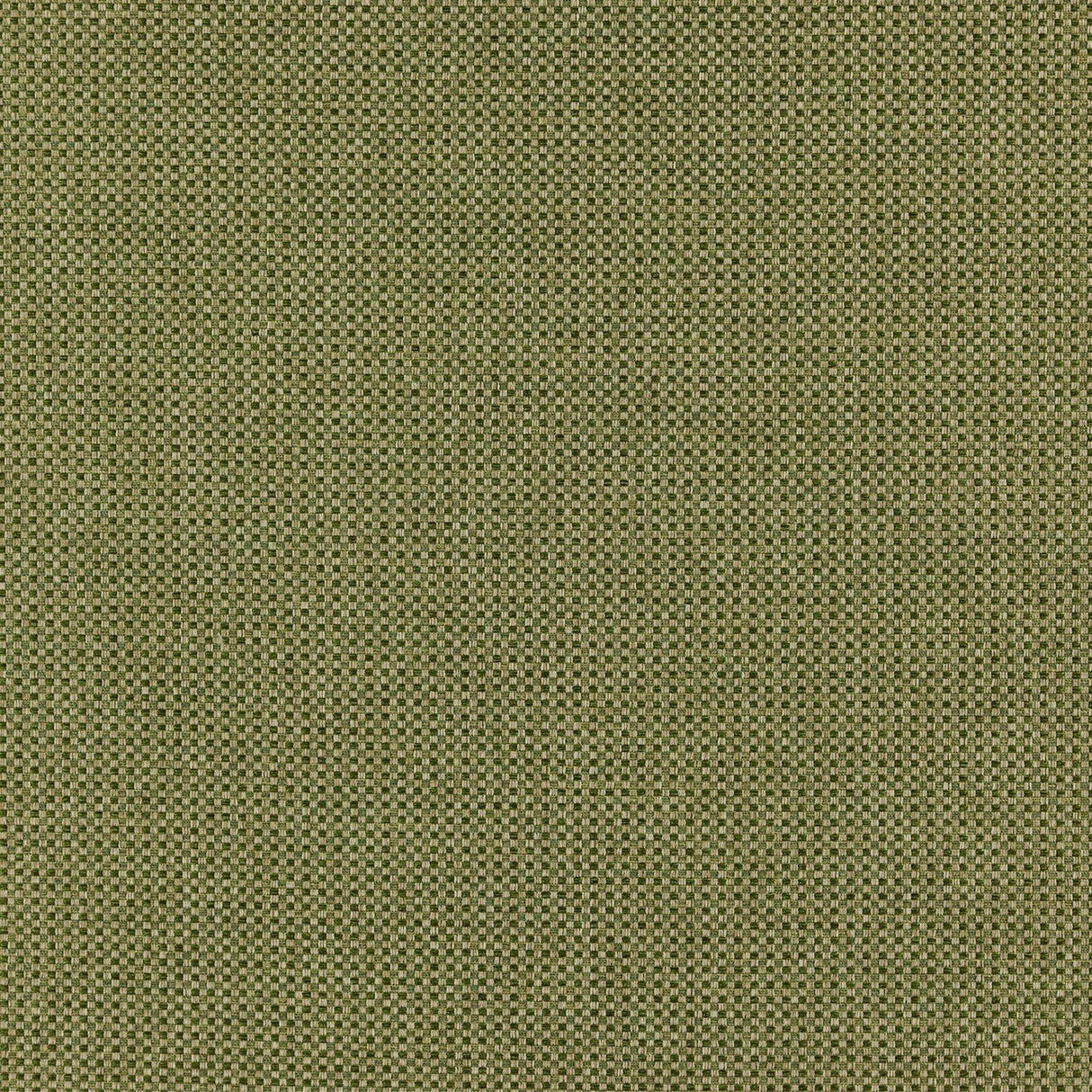 Itami 50