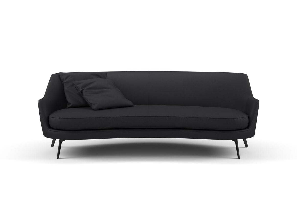 Kanvas 13 Ebony
