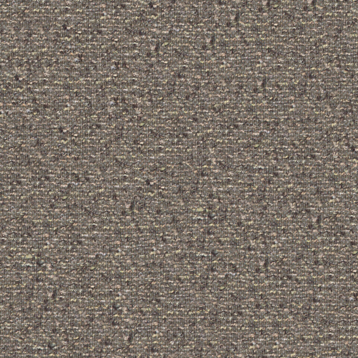 Looplux 11