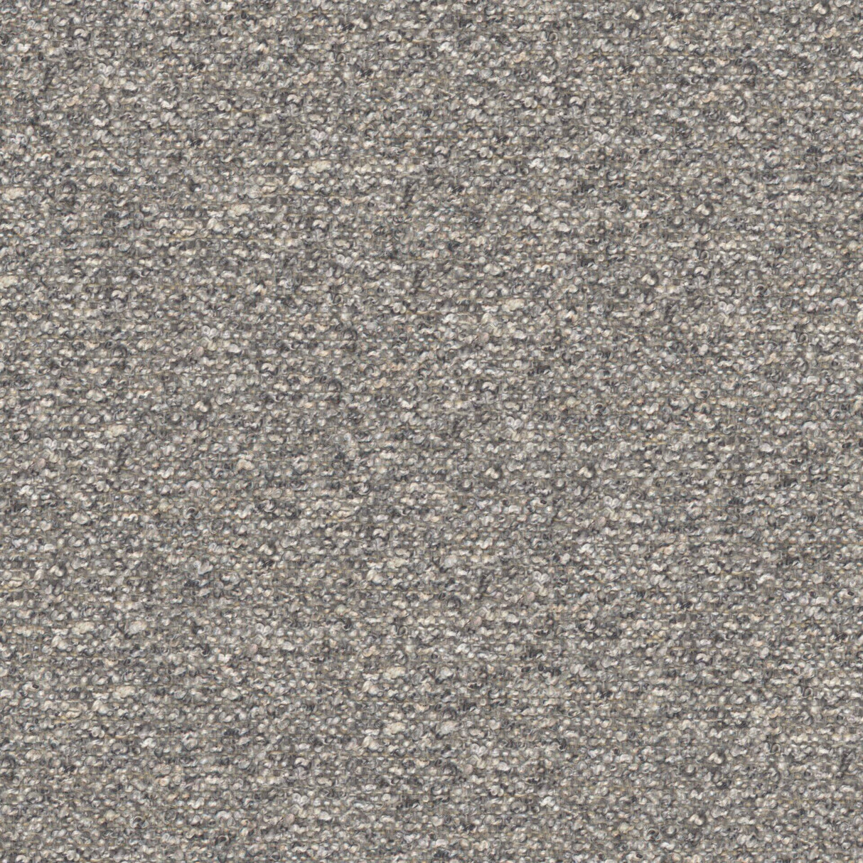 Looplux 12