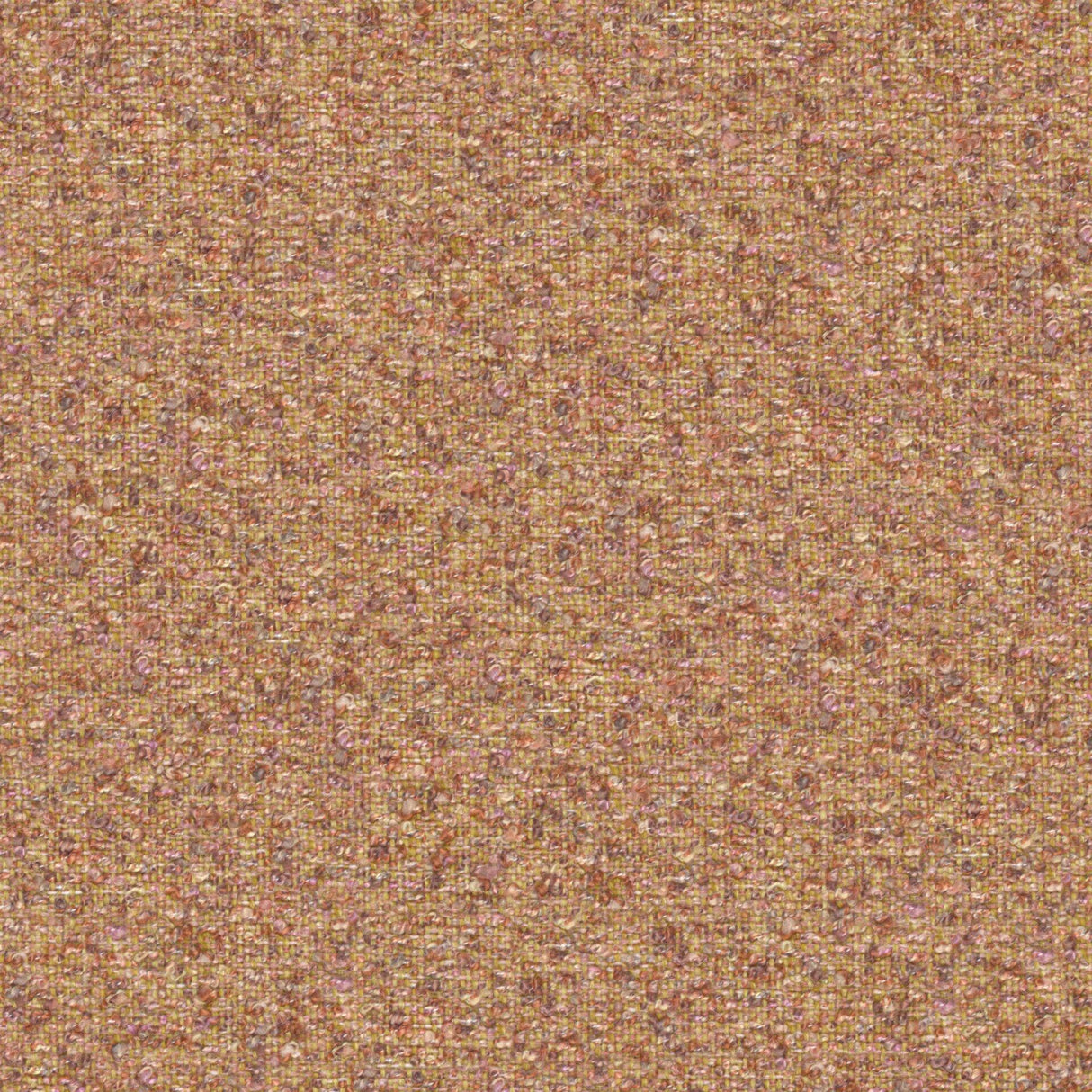 Looplux 24