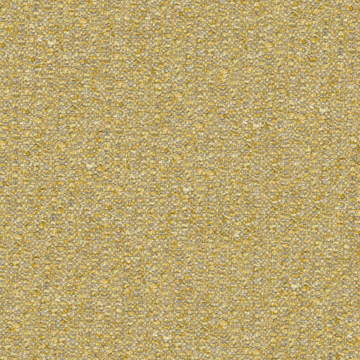 Looplux 25