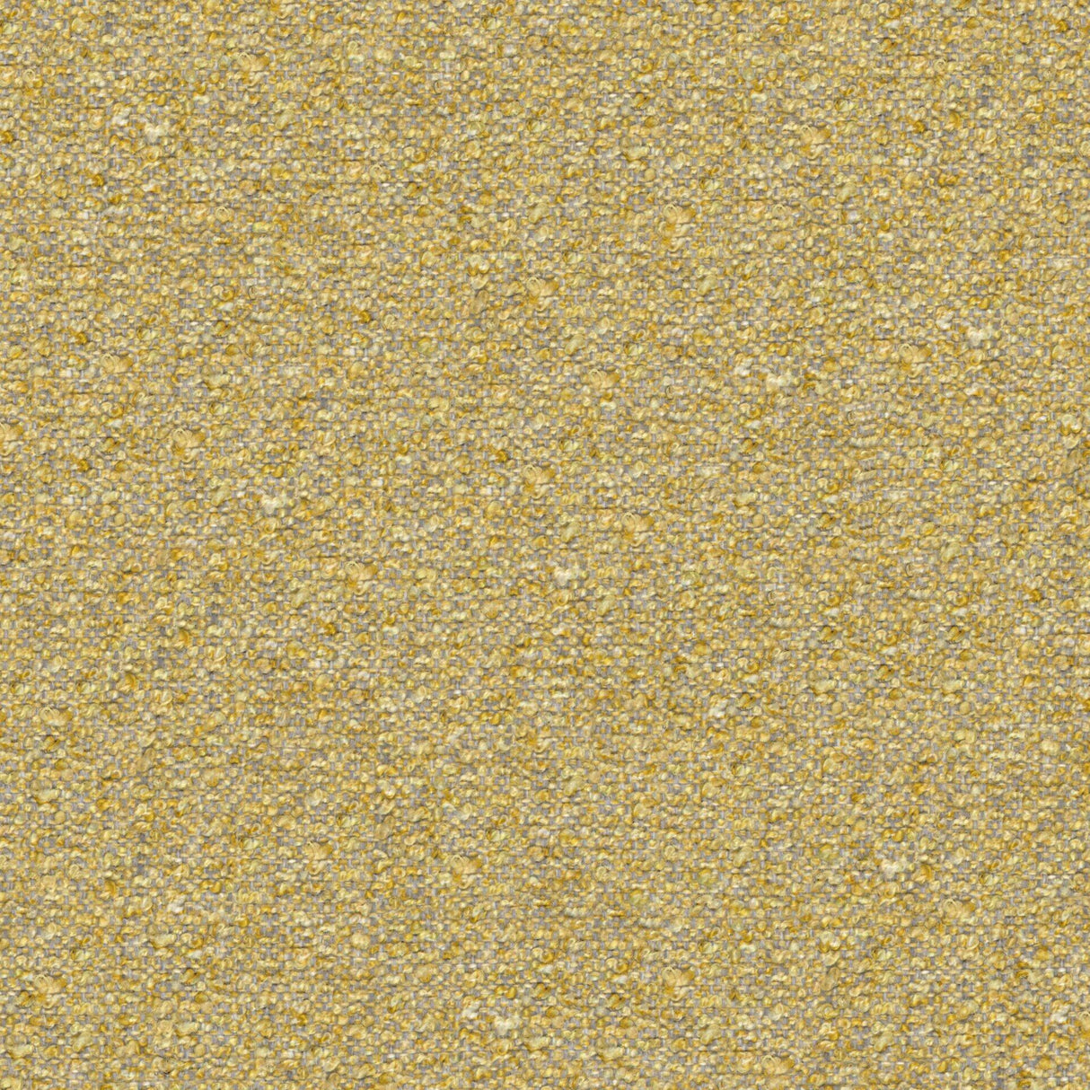 Looplux 25