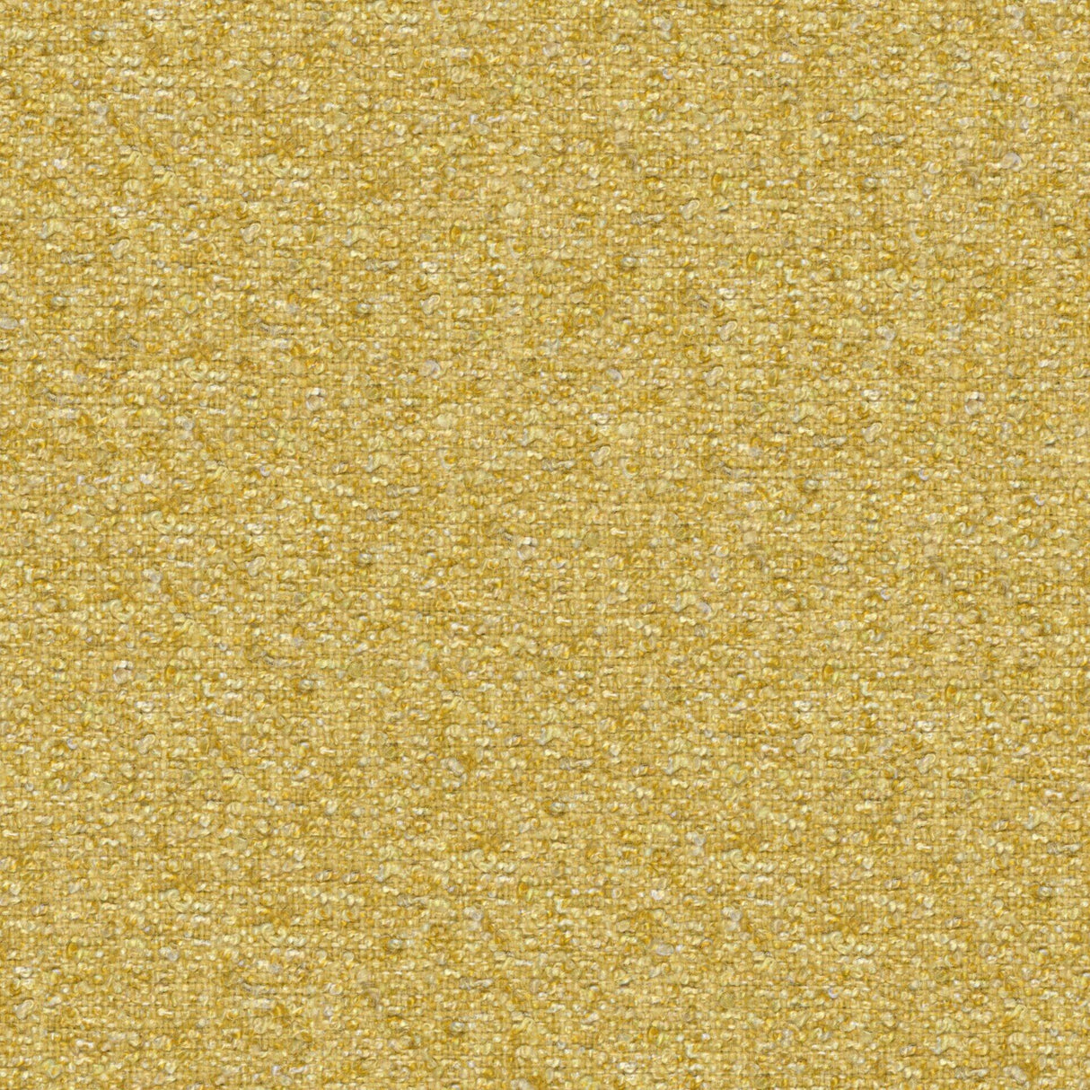 Looplux 26