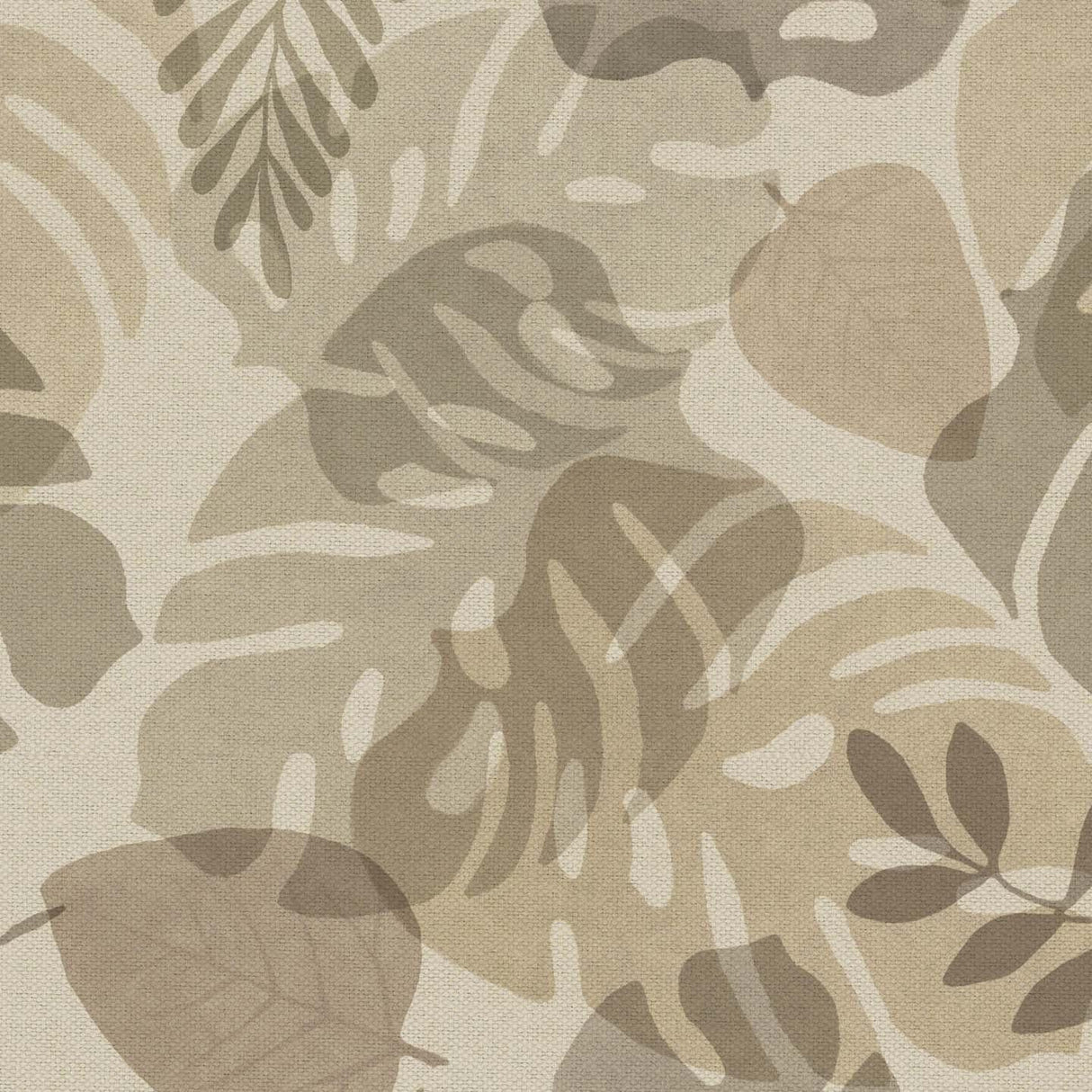 Monstera T104