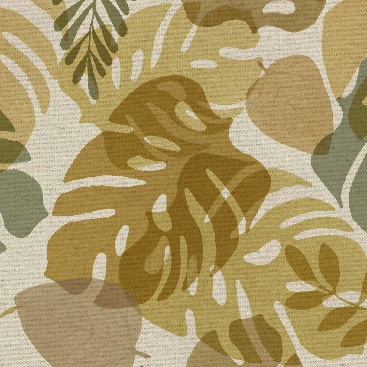 Monstera T125