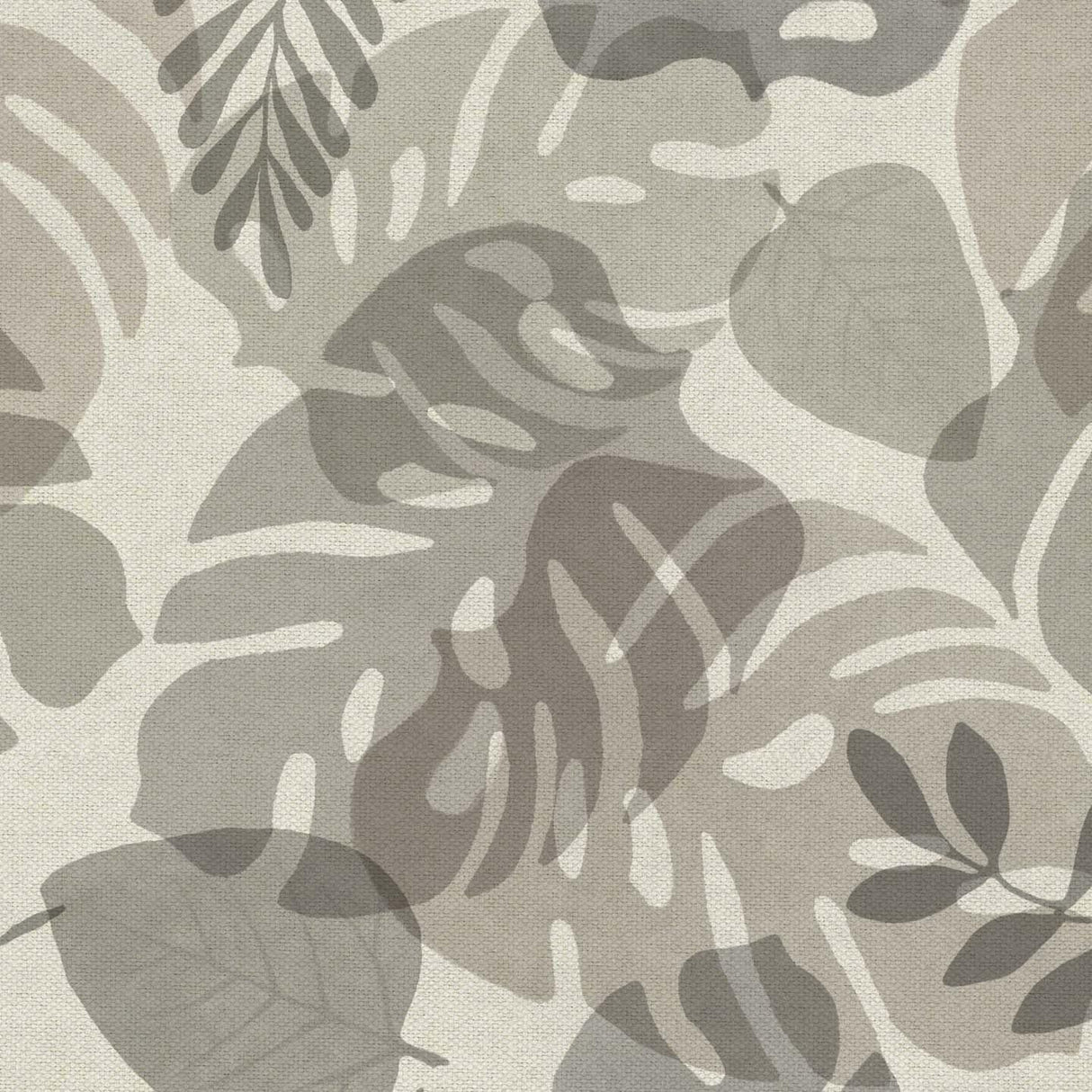Monstera T126