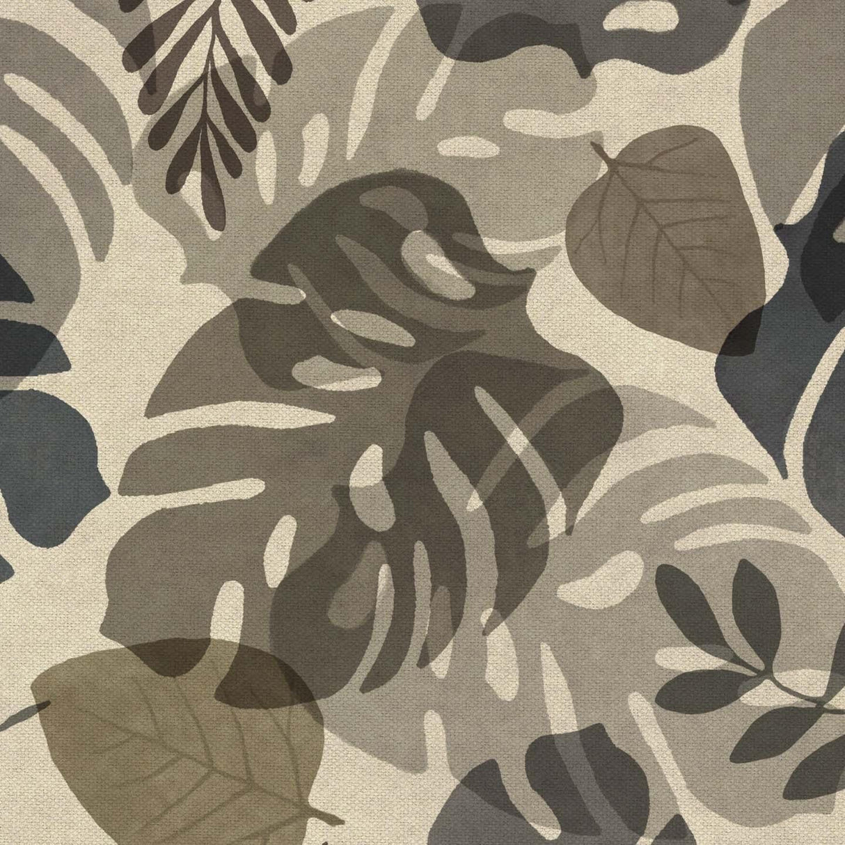 Monstera T156