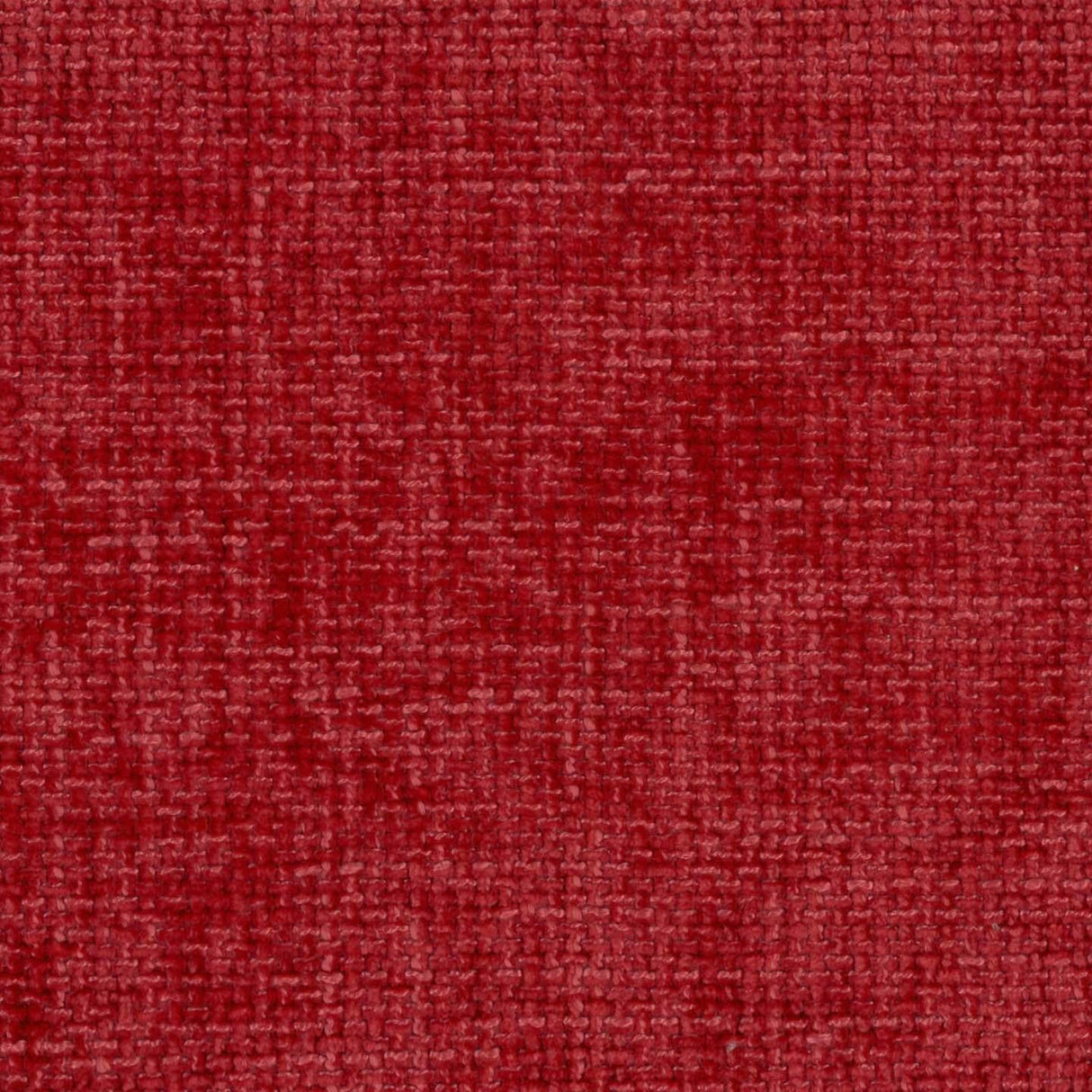 Montana 33