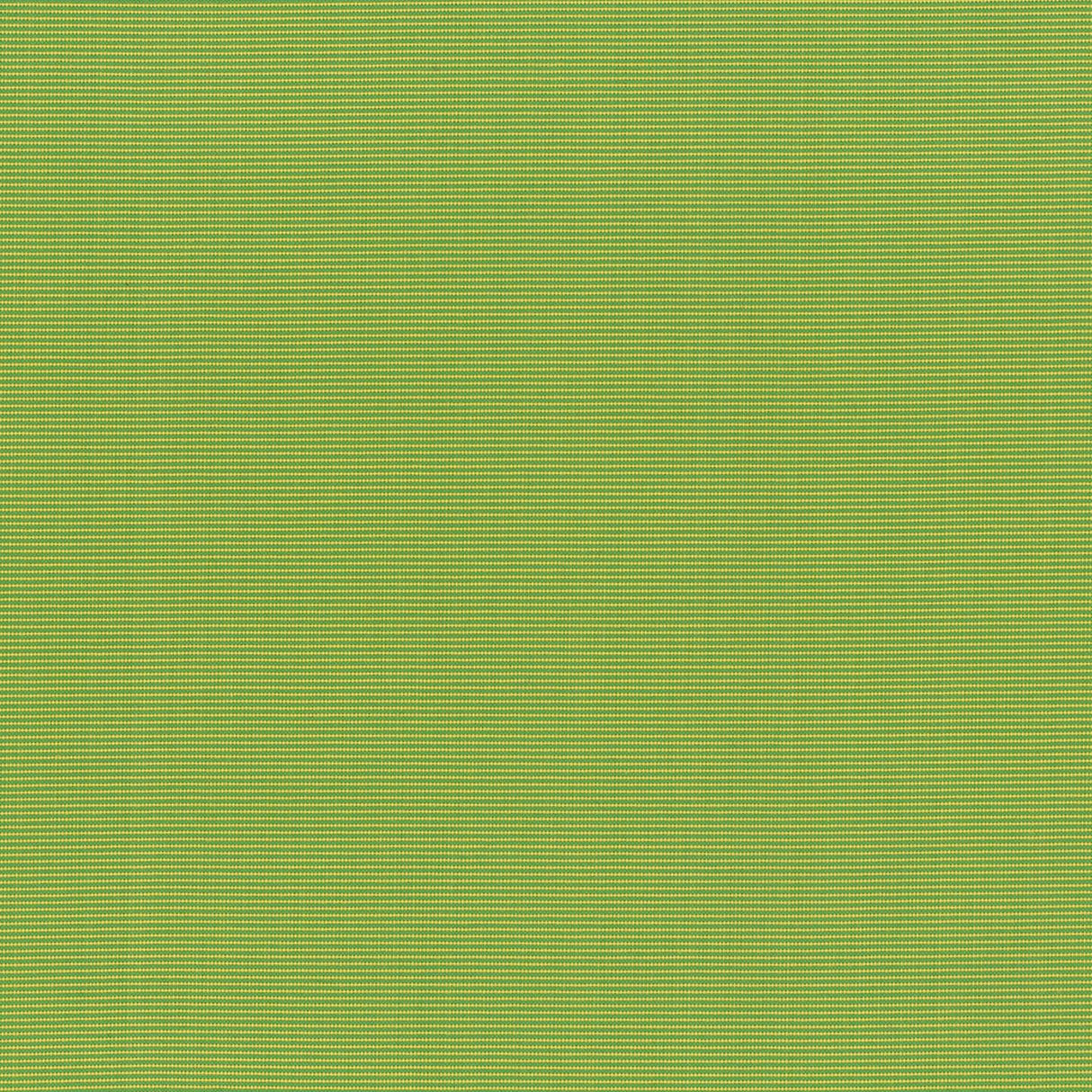 Marine 05
