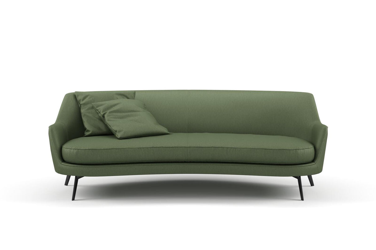 Mex 02 Olive