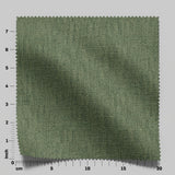 Mex 02 Olive
