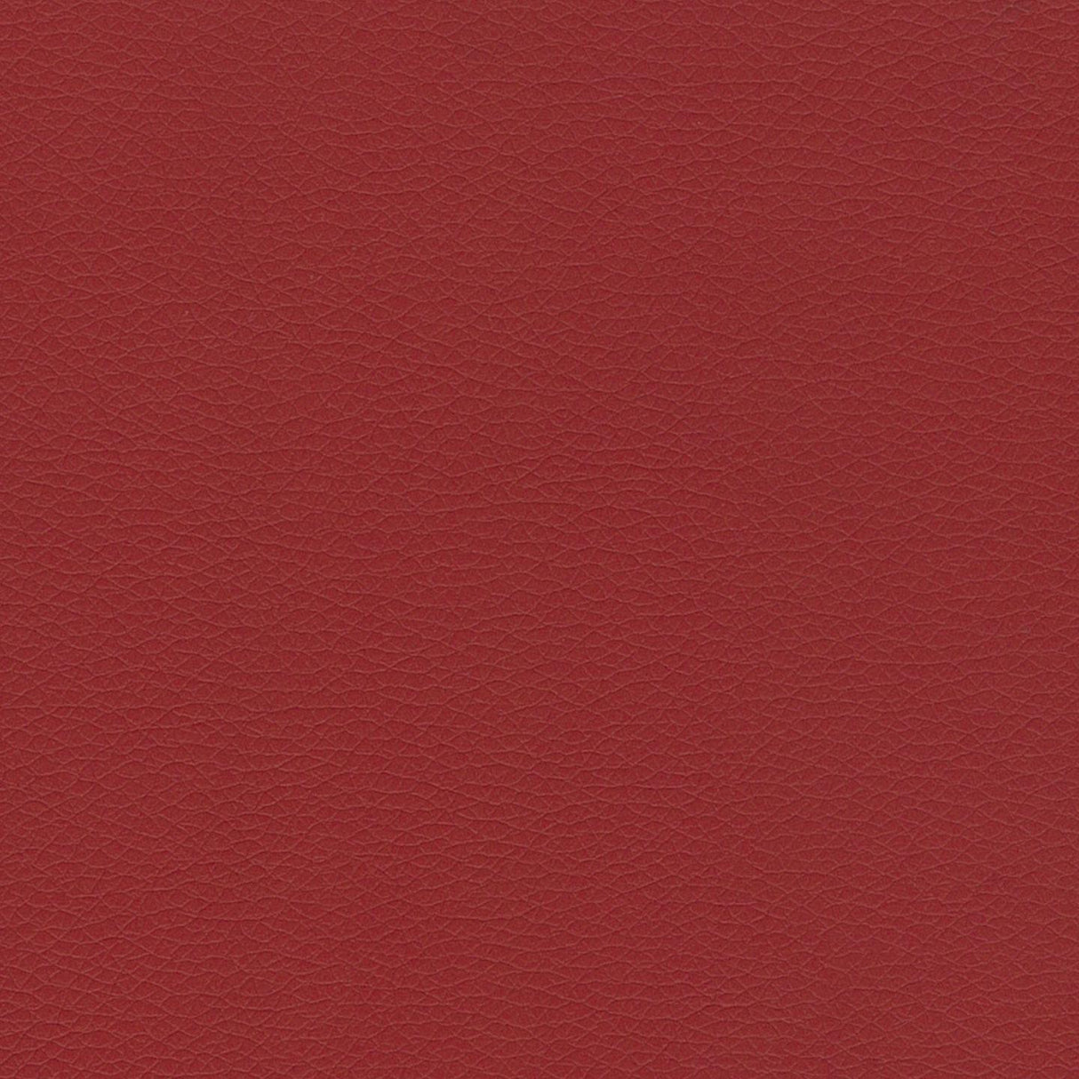 Mexico 23