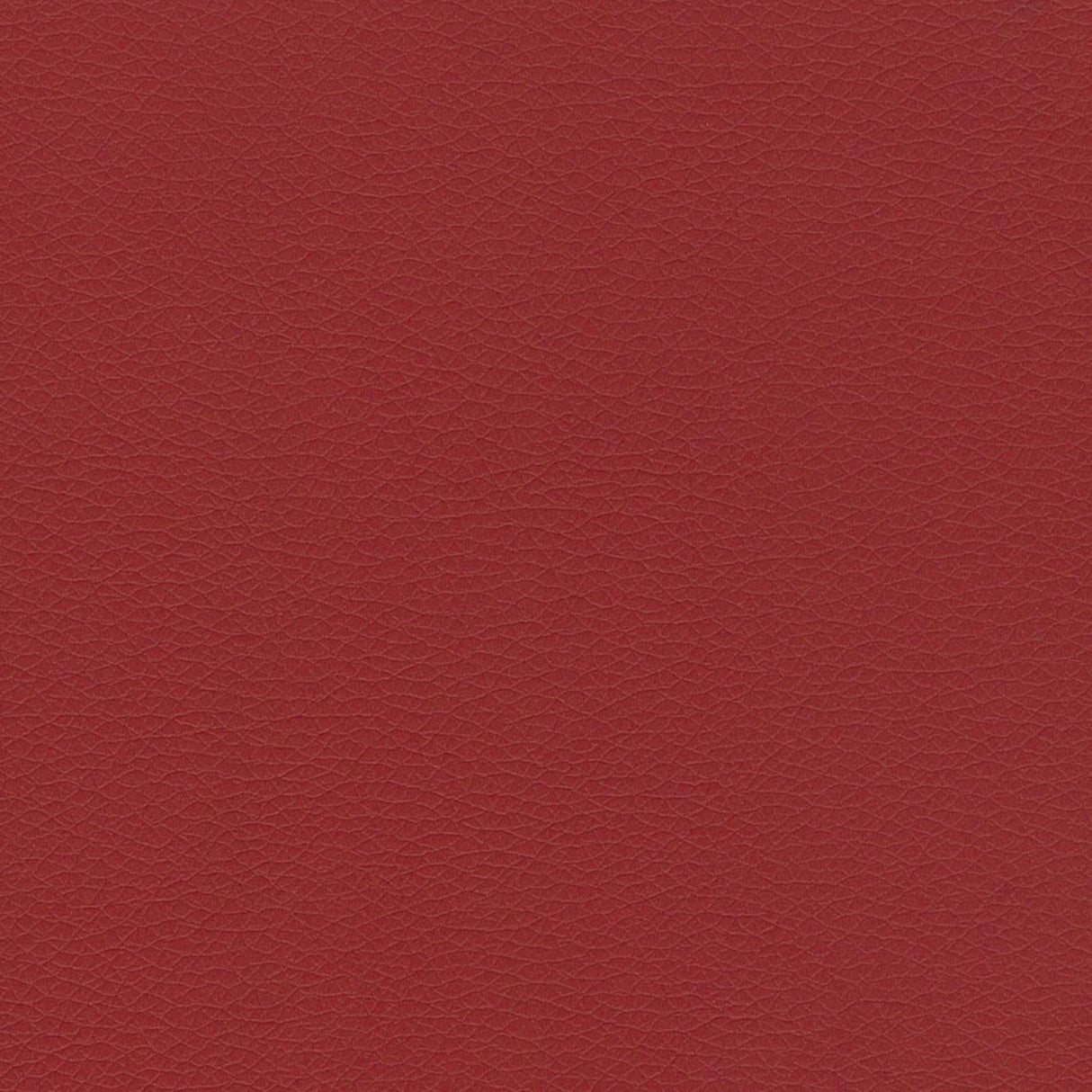 Mexico 23