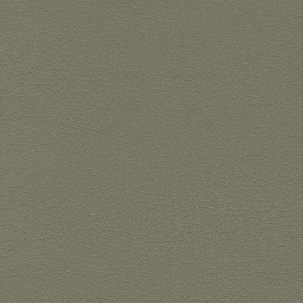 Mexico 44