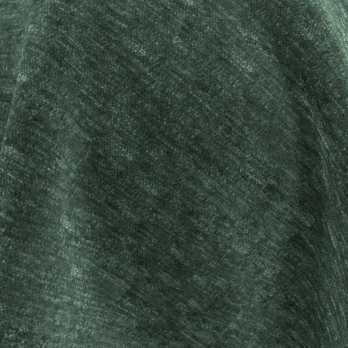 Nero 07 Forest