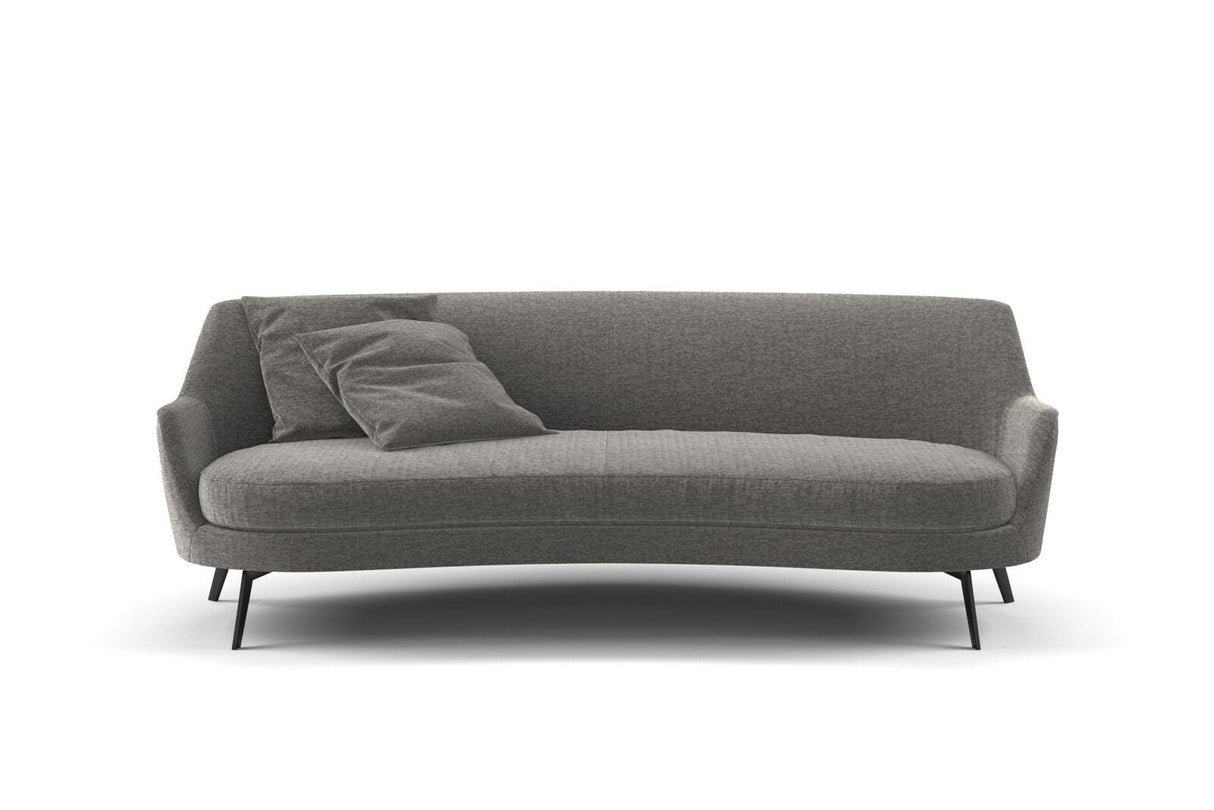 Nero 31 Chincilla