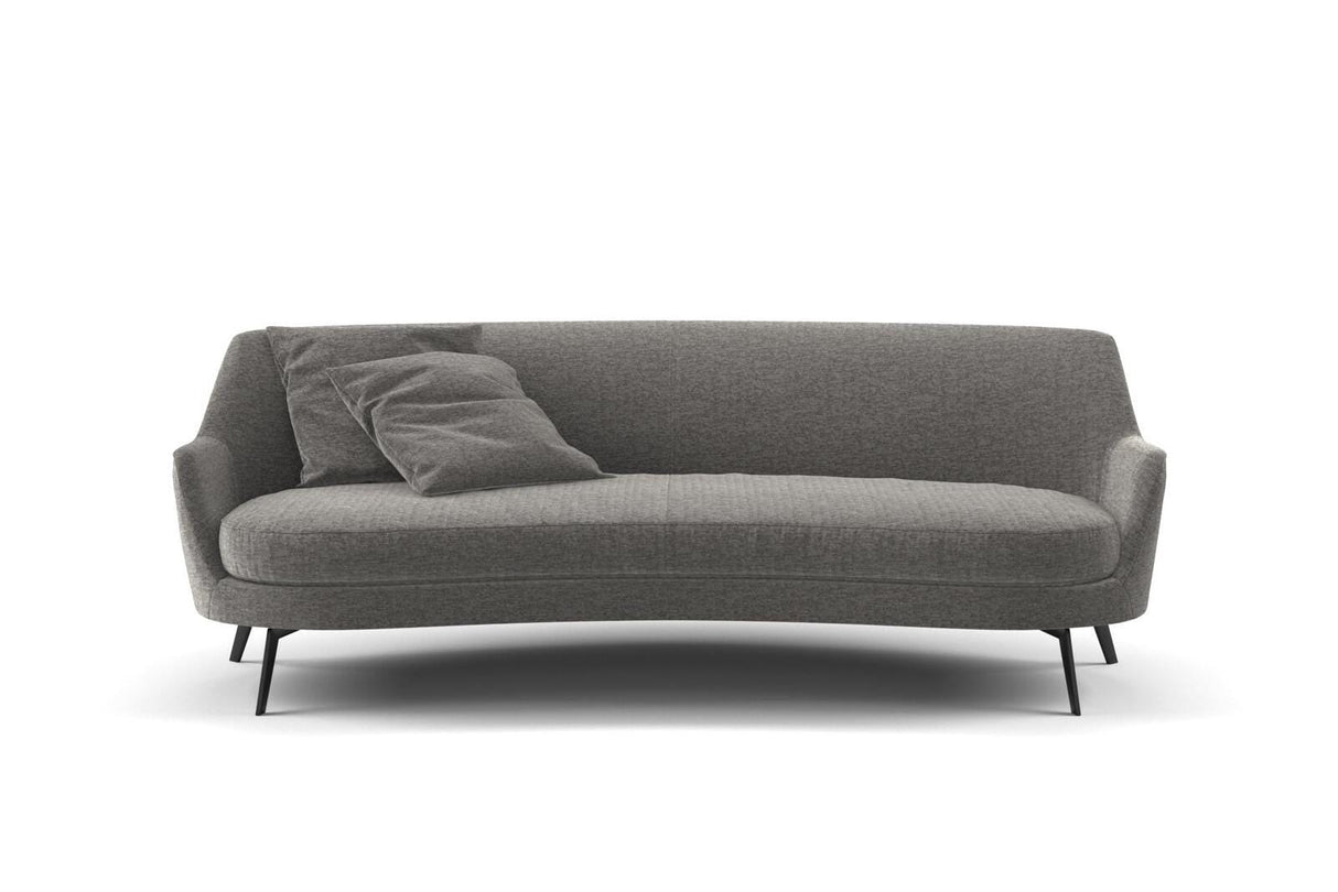 Nero 31 Chincilla