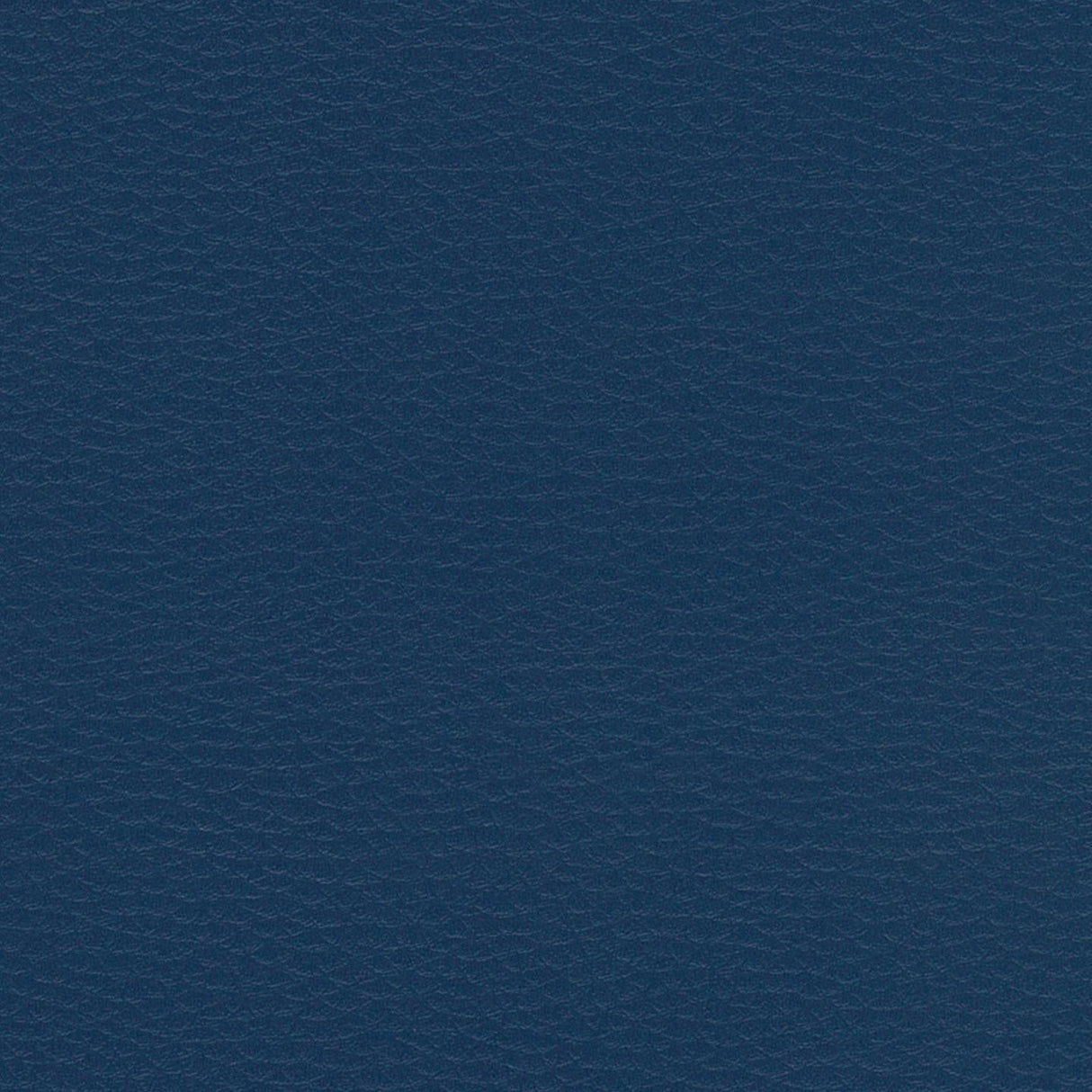 Nevada 635