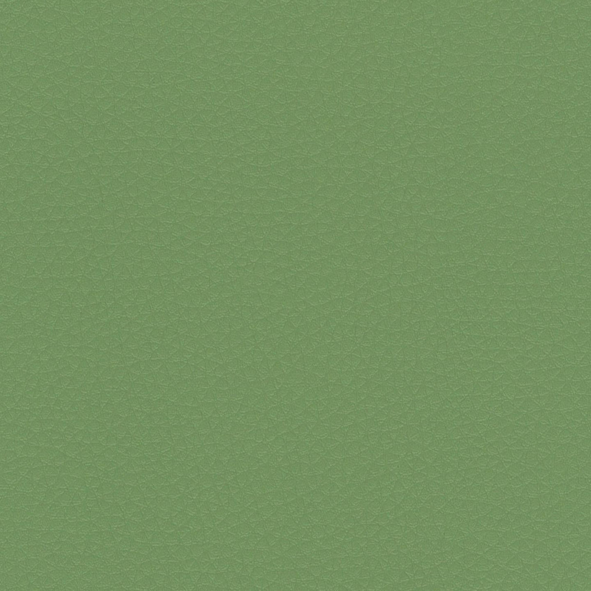 Nevada 896