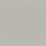 Opaline 02 Silver