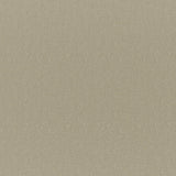 Opaline 06 Seagrass