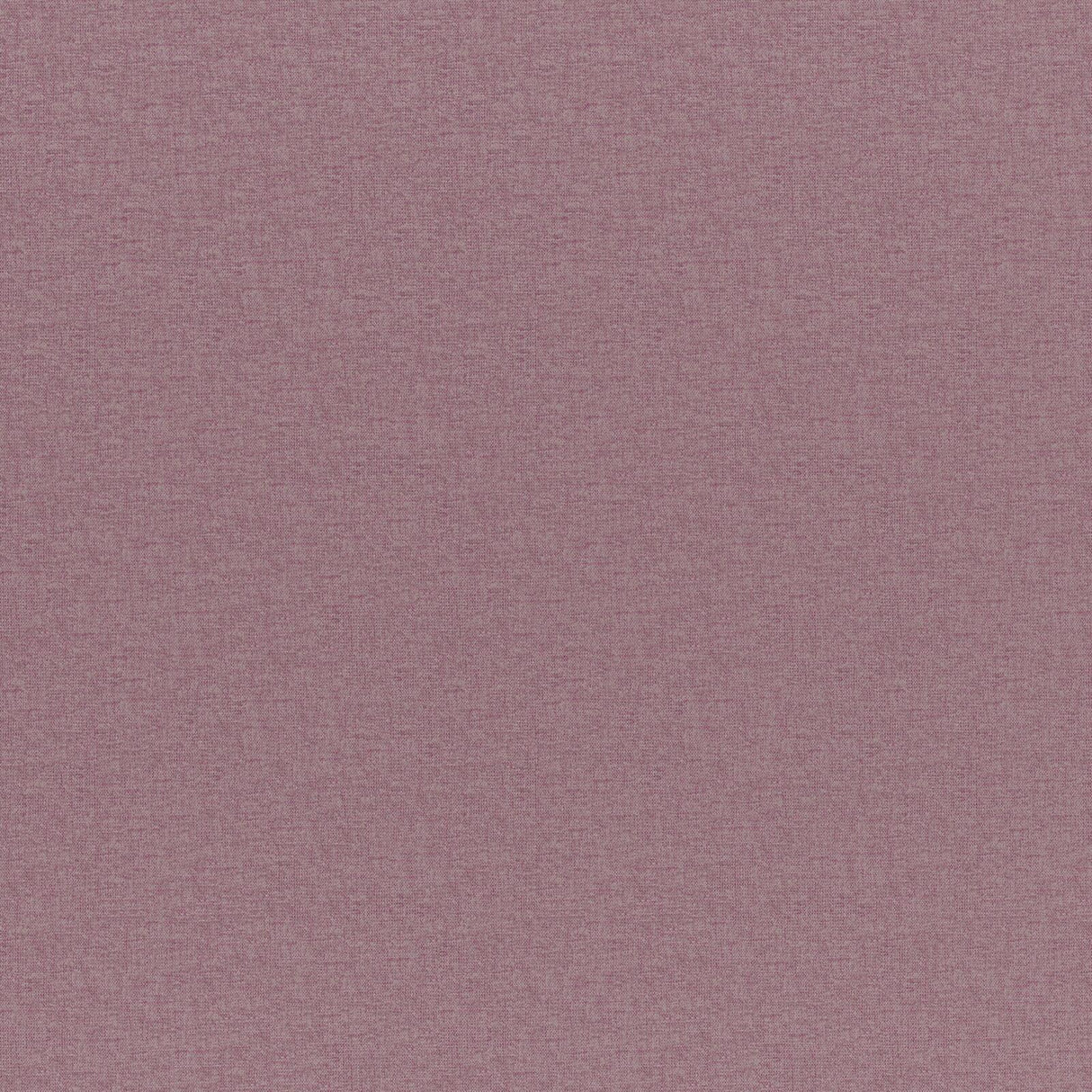 Opaline 22 Orchid