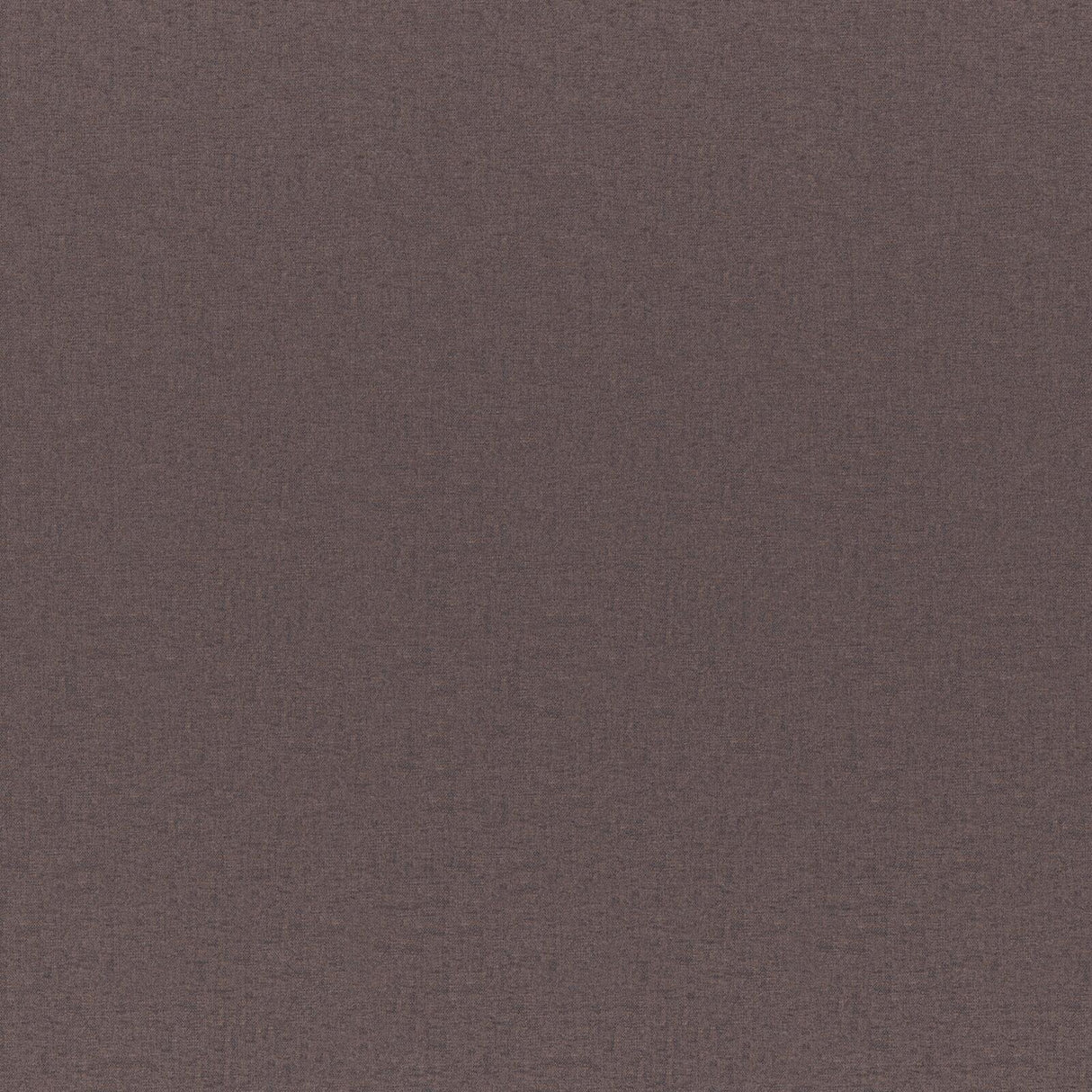 Opaline 23 Fossil