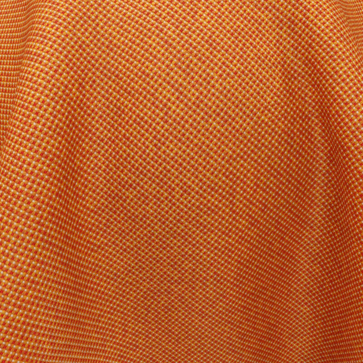 Camping 07 Carrot