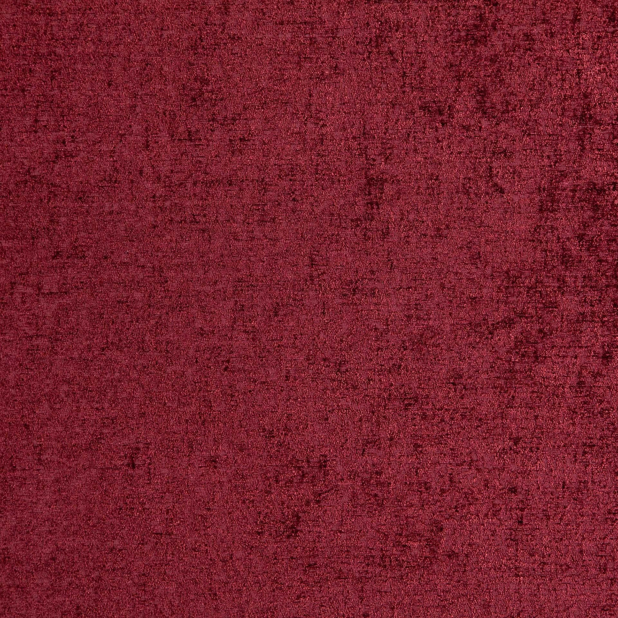 Petronia 05
