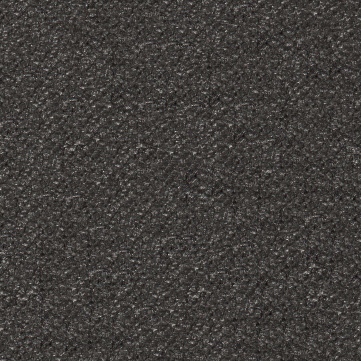 Plush 01