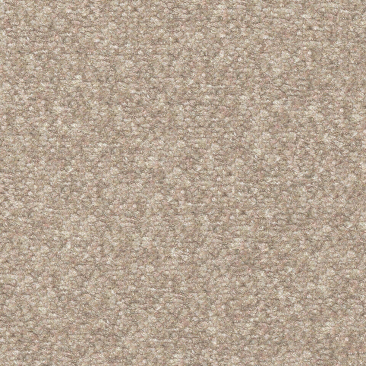 Plush 11