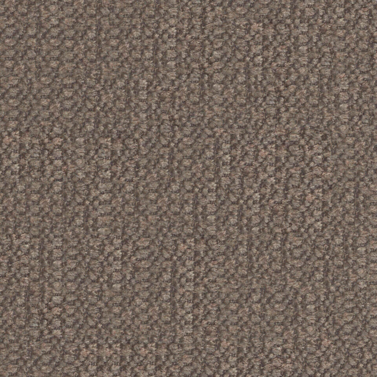 Plush 13