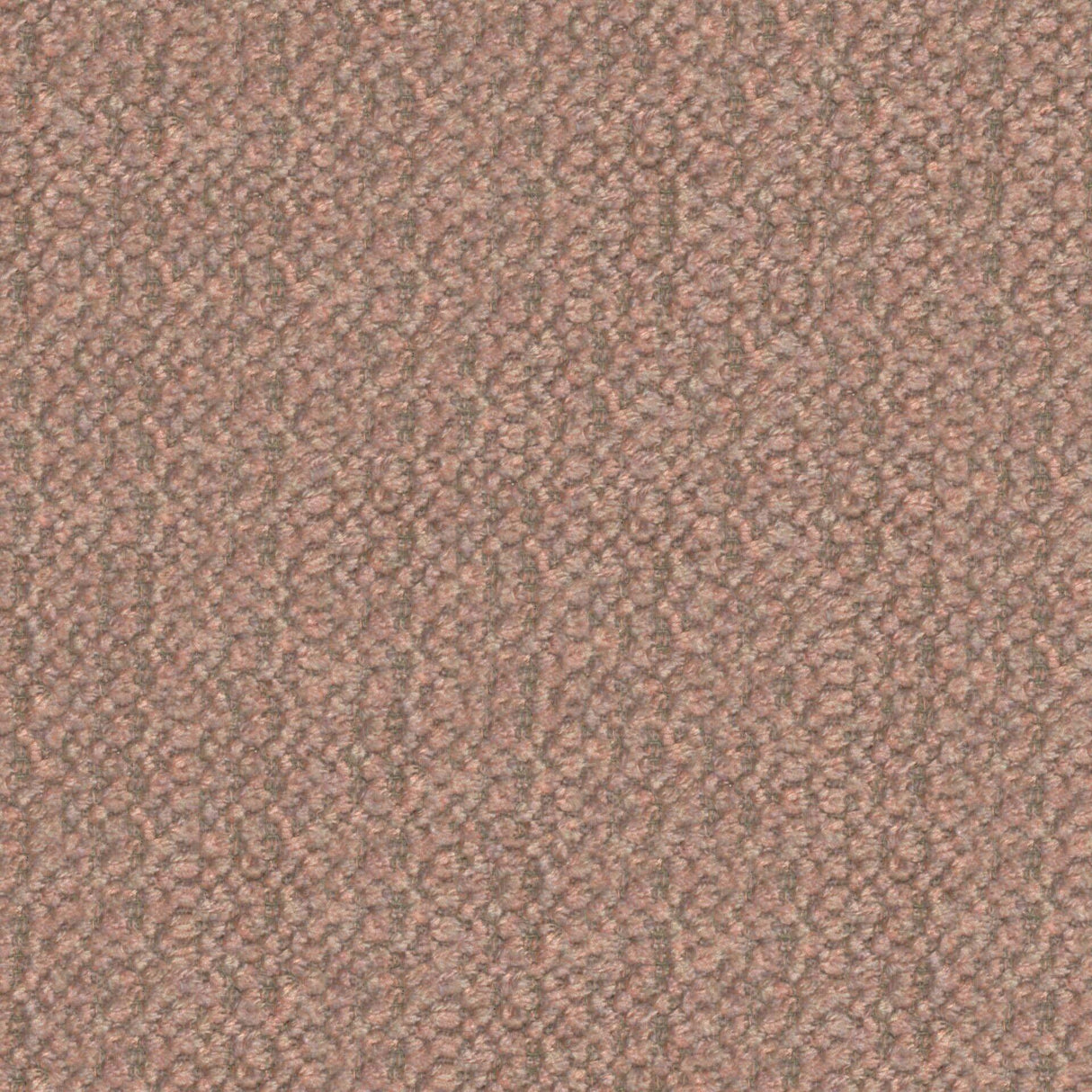 Plush 14