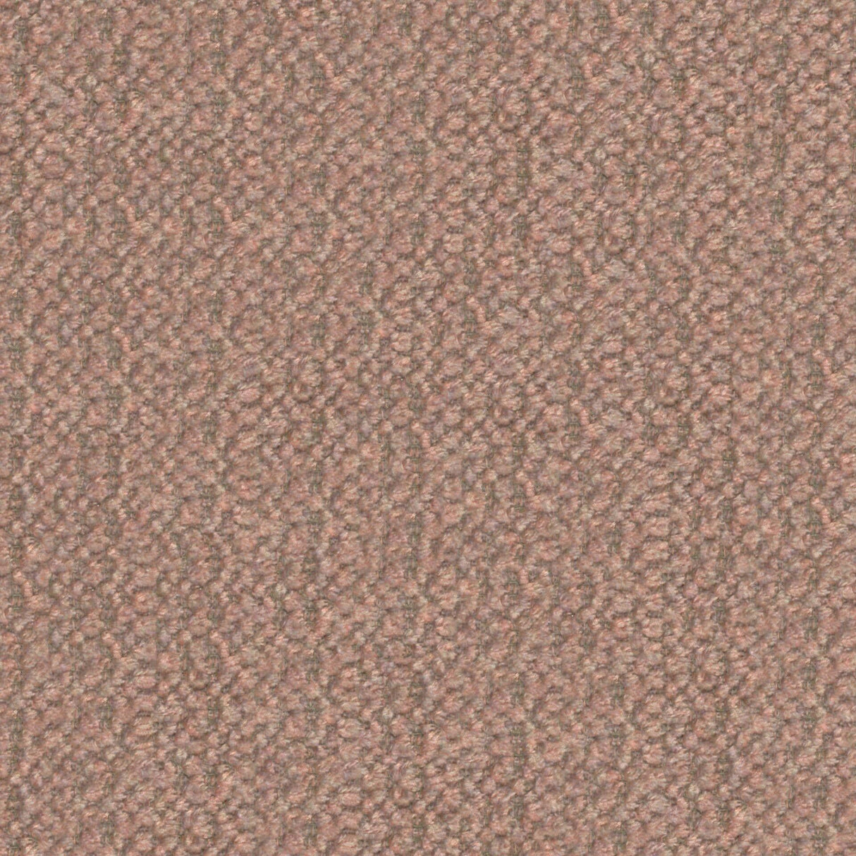Plush 14
