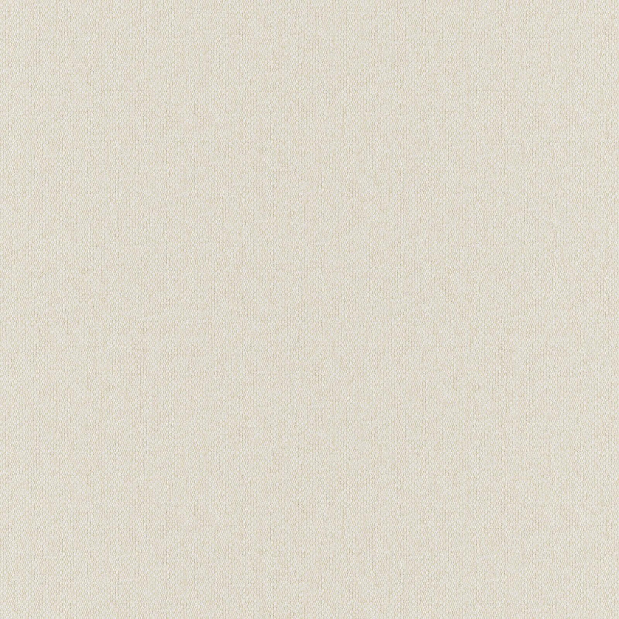 Pablo 17