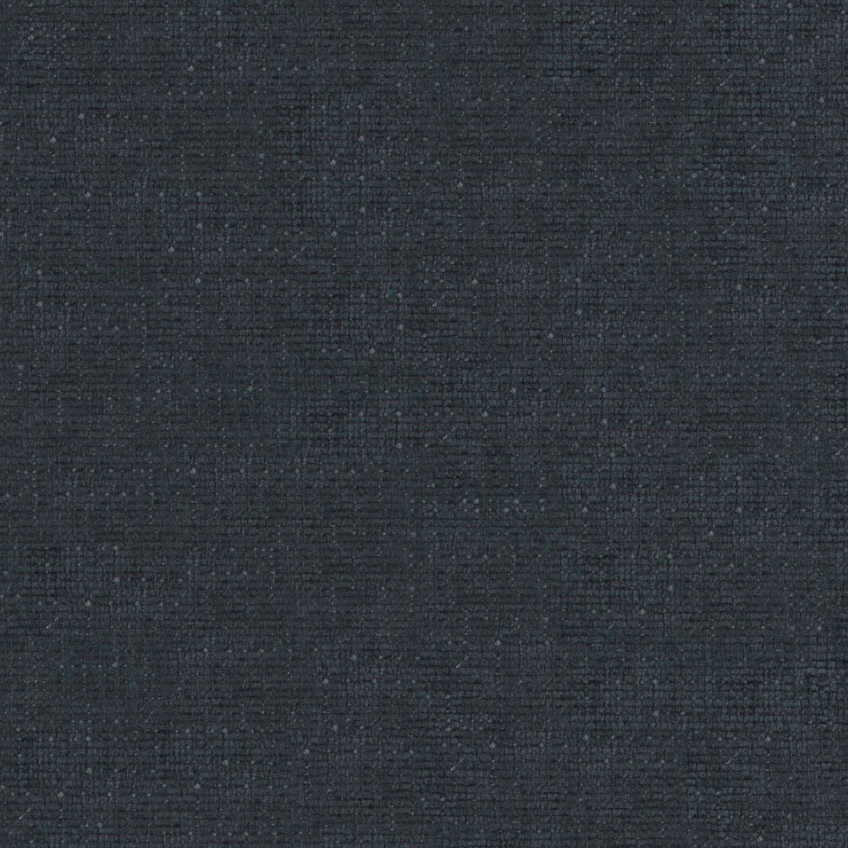 Petal 01