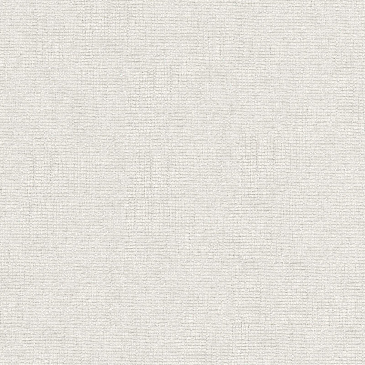 Petal 11