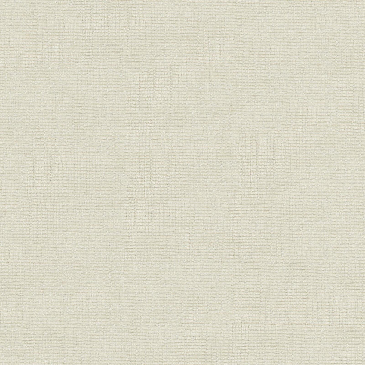 Petal 12