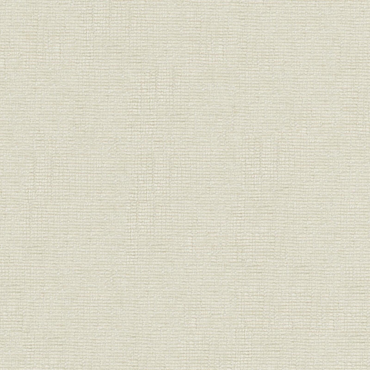 Petal 12