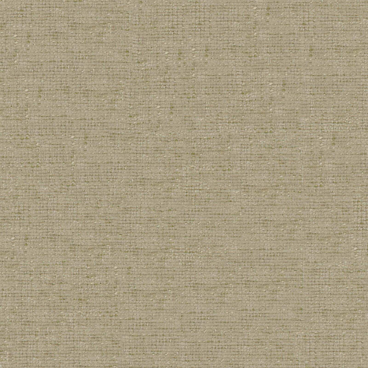 Petal 16
