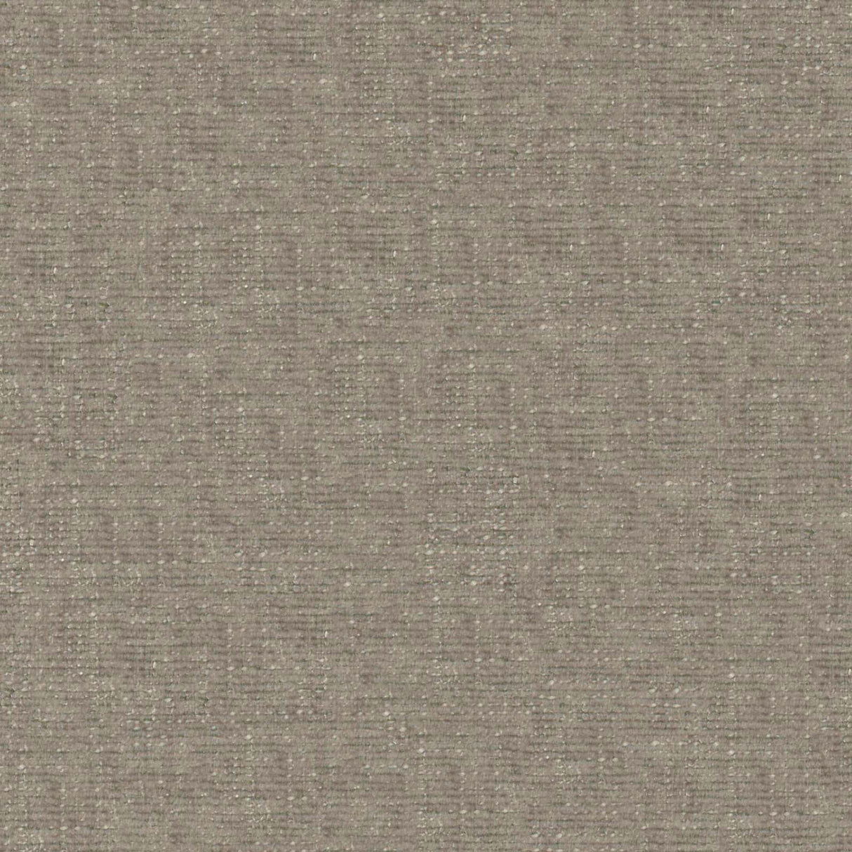 Petal 17