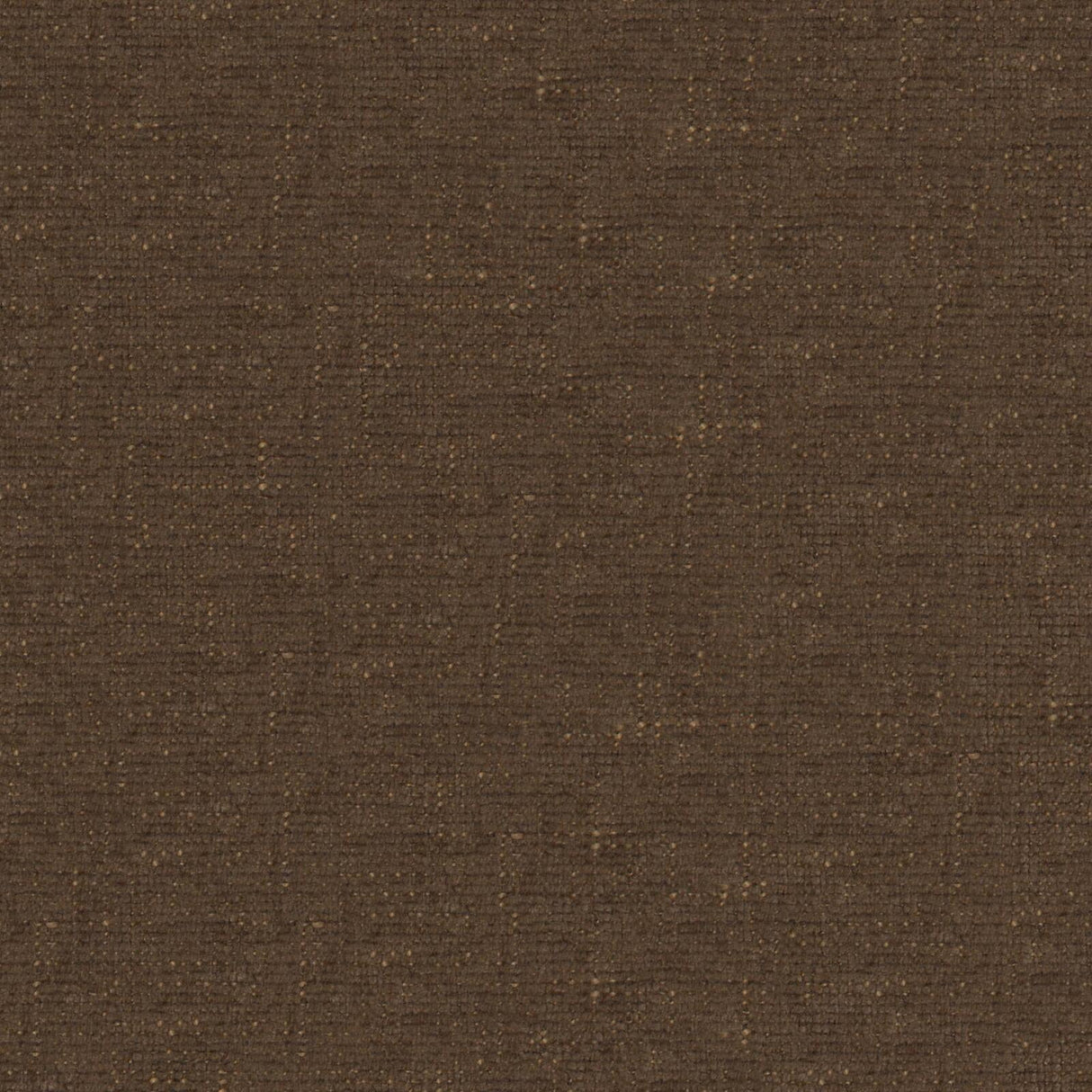 Petal 18