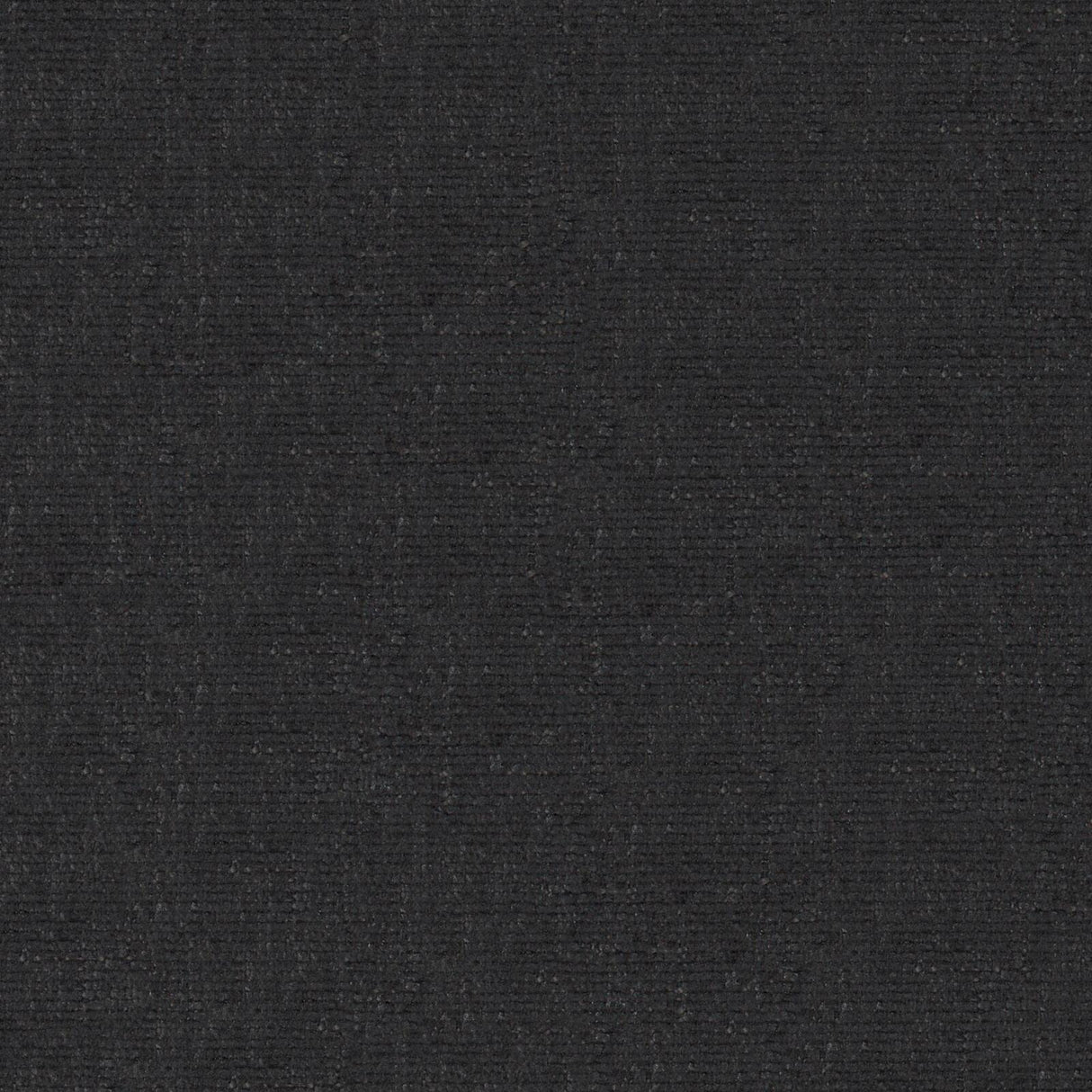 Petal 19