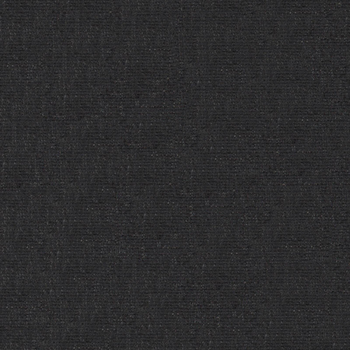 Petal 19