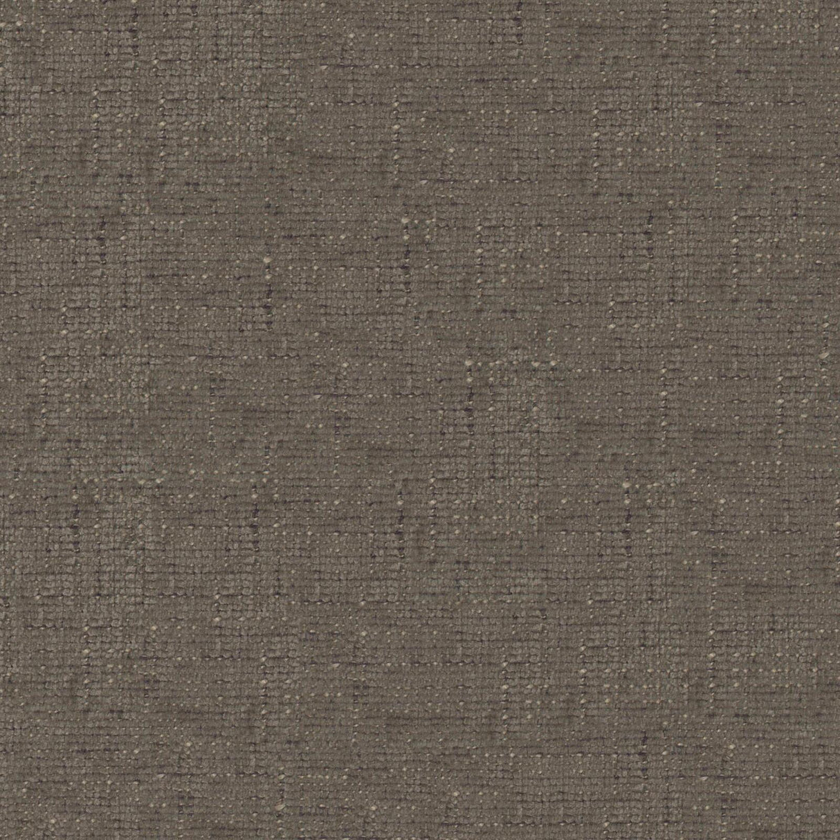 Petal 20