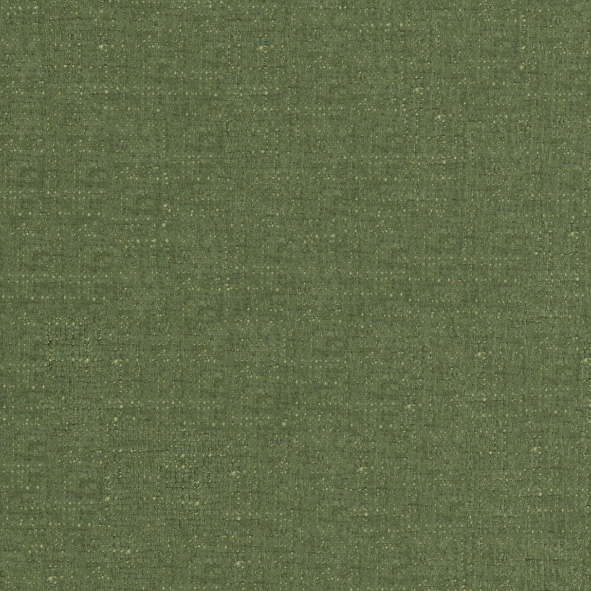 Petal 23
