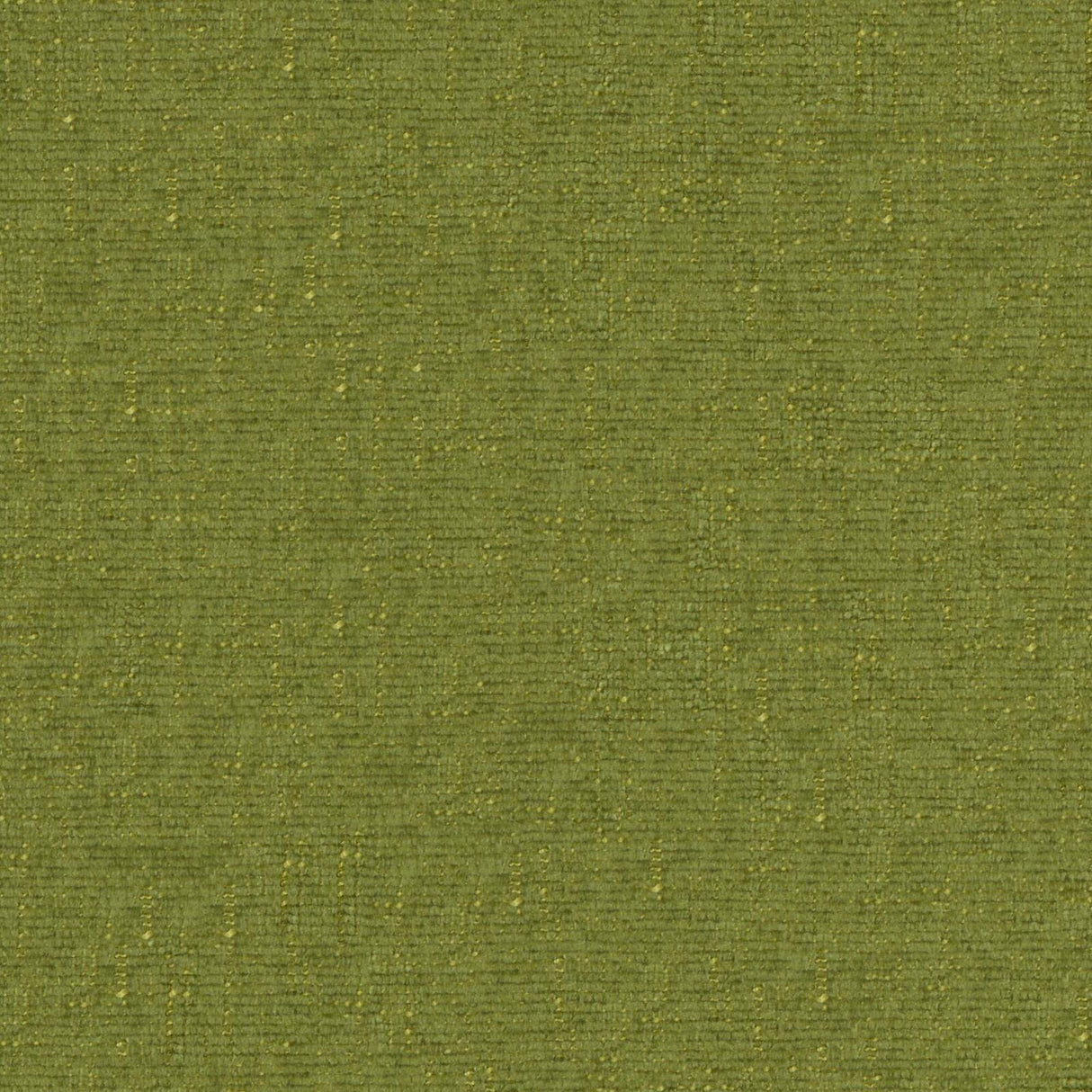 Petal 25